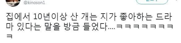 My dog has lived with us 10+ years and apparently has a favorite drama