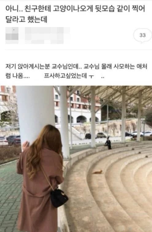 Asked friend for a cute cat-photo pose, accidentally got a secret admirer shot