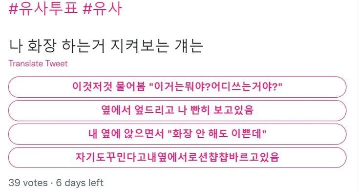 Twitter poll: What does your dog do while you put on makeup?