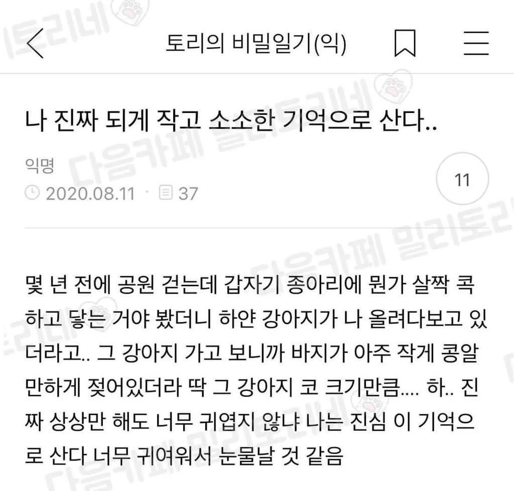 Living off one tiny dog memory for years and it's valid